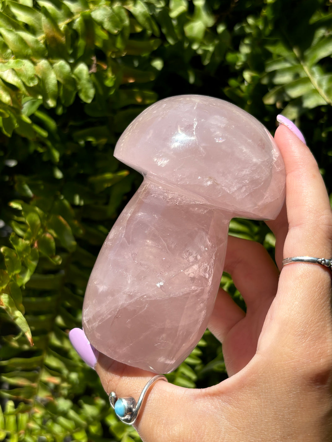 Rose Quartz mushroom C