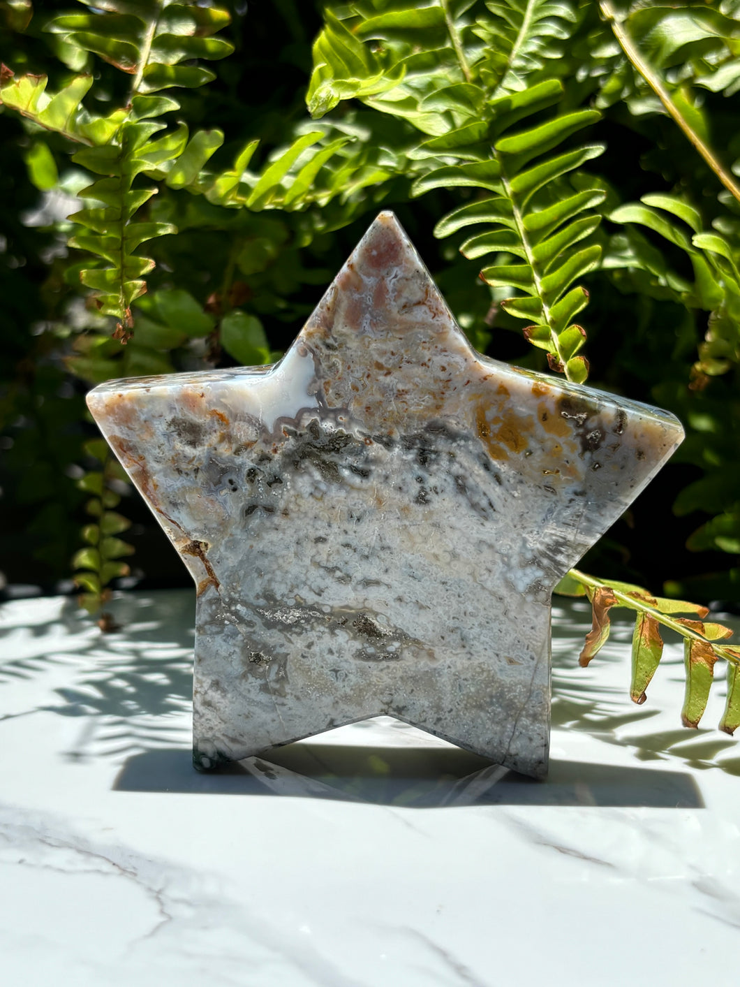 Sea Jasper star B