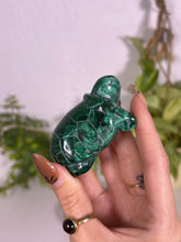 Load image into Gallery viewer, Malachite turtle
