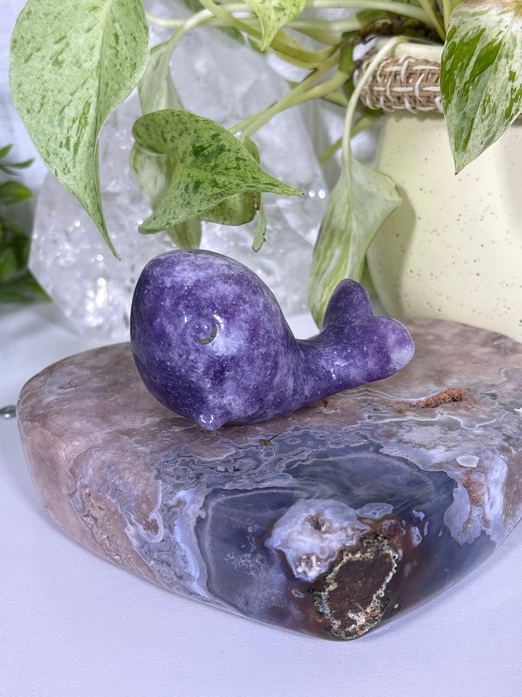 Lepidolite whale F