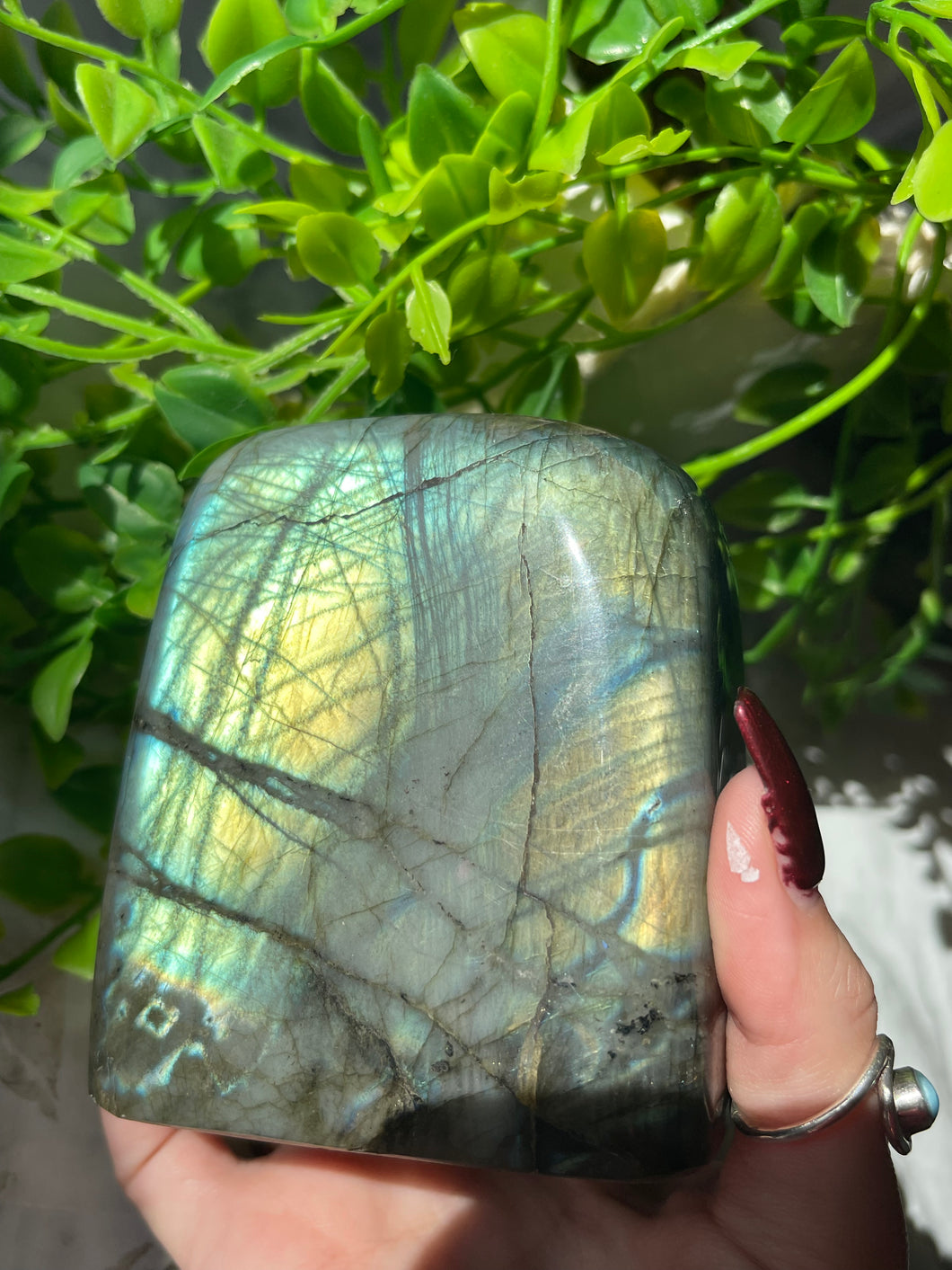 Labradorite freeform A