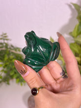 Load image into Gallery viewer, Malachite Froggy L
