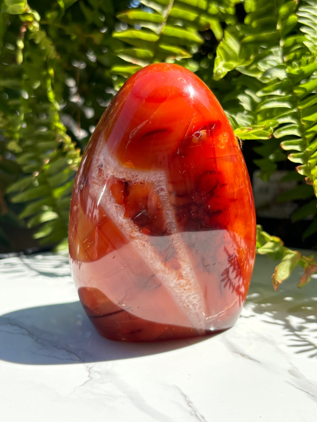 Carnelian Freeform