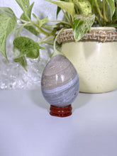 Load image into Gallery viewer, Sea Jasper egg T
