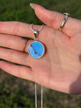 Load image into Gallery viewer, Morpho x Sulkowsky butterfly (real)
