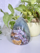 Load image into Gallery viewer, Sea Jasper Freeform
