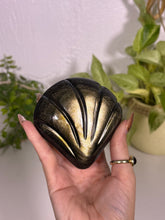 Load image into Gallery viewer, Gold sheen Obsidian shell
