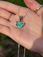 Load image into Gallery viewer, Prepona butterfly (real)
