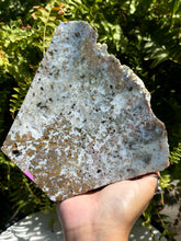 Load image into Gallery viewer, Druzy Sea Jasper Slab
