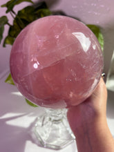 Load image into Gallery viewer, (H 4.15lbs Rose Petal Jelly) Rose Quartz sphere w/star
