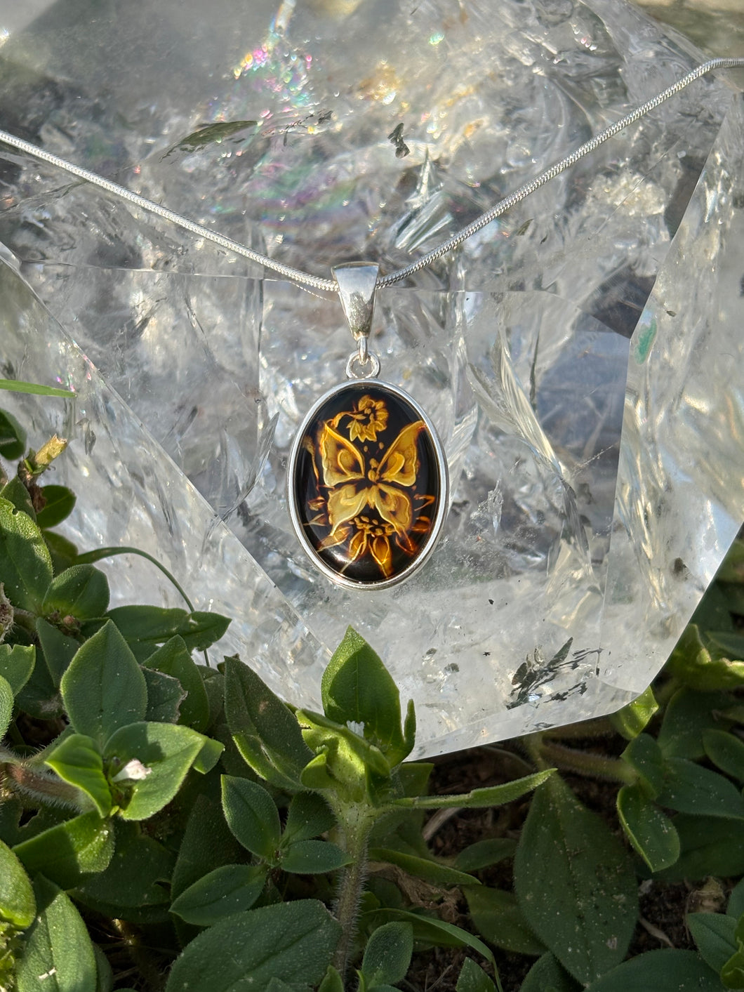 Amber butterfly