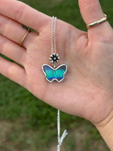 Load image into Gallery viewer, Prepona butterfly (real)
