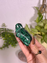 Load image into Gallery viewer, Malachite turtle
