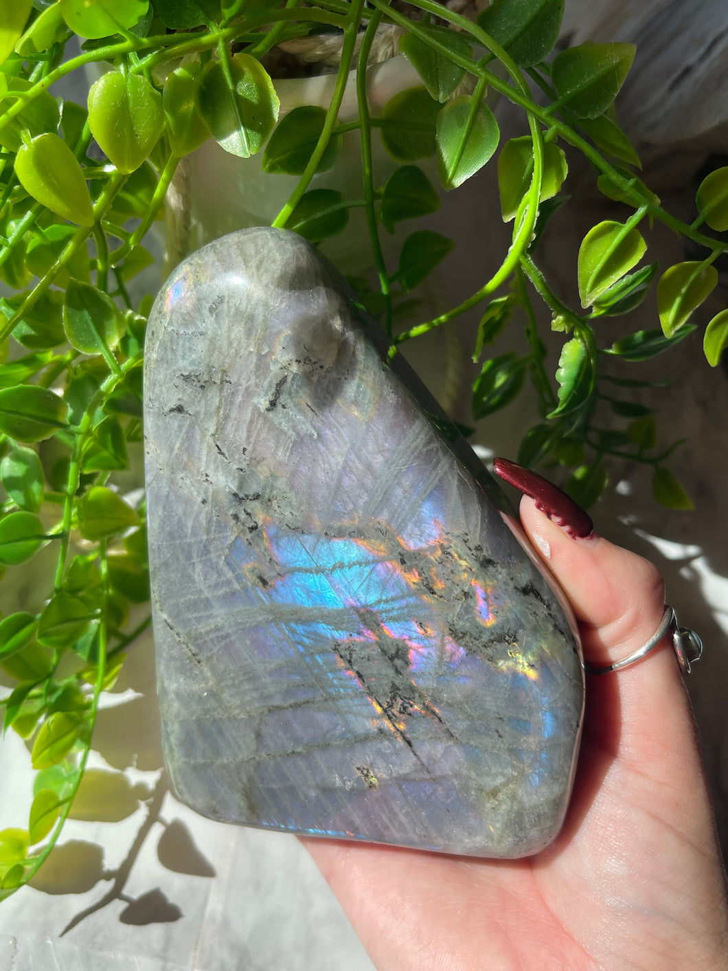 Labradorite freeform C