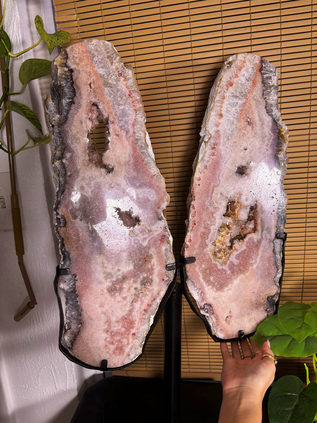 HUGE Pink Amethyst wings