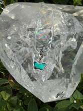 Load image into Gallery viewer, Prepona butterfly (real)
