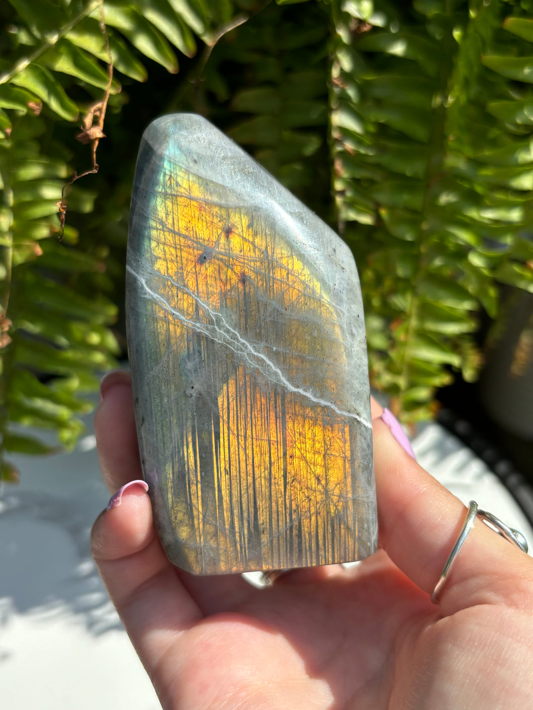 Labradorite D