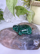 Load image into Gallery viewer, Malachite turtle
