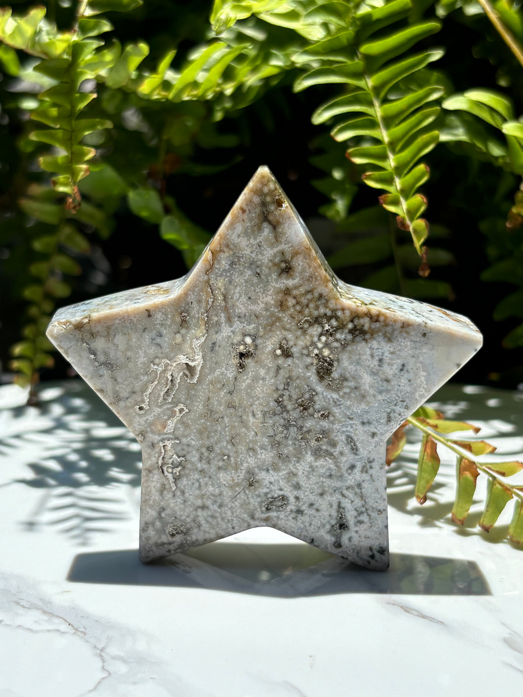 Sea Jasper star D