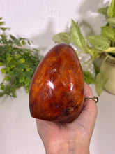 Load image into Gallery viewer, Carnelian freeform
