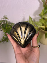 Load image into Gallery viewer, Gold sheen Obsidian shell
