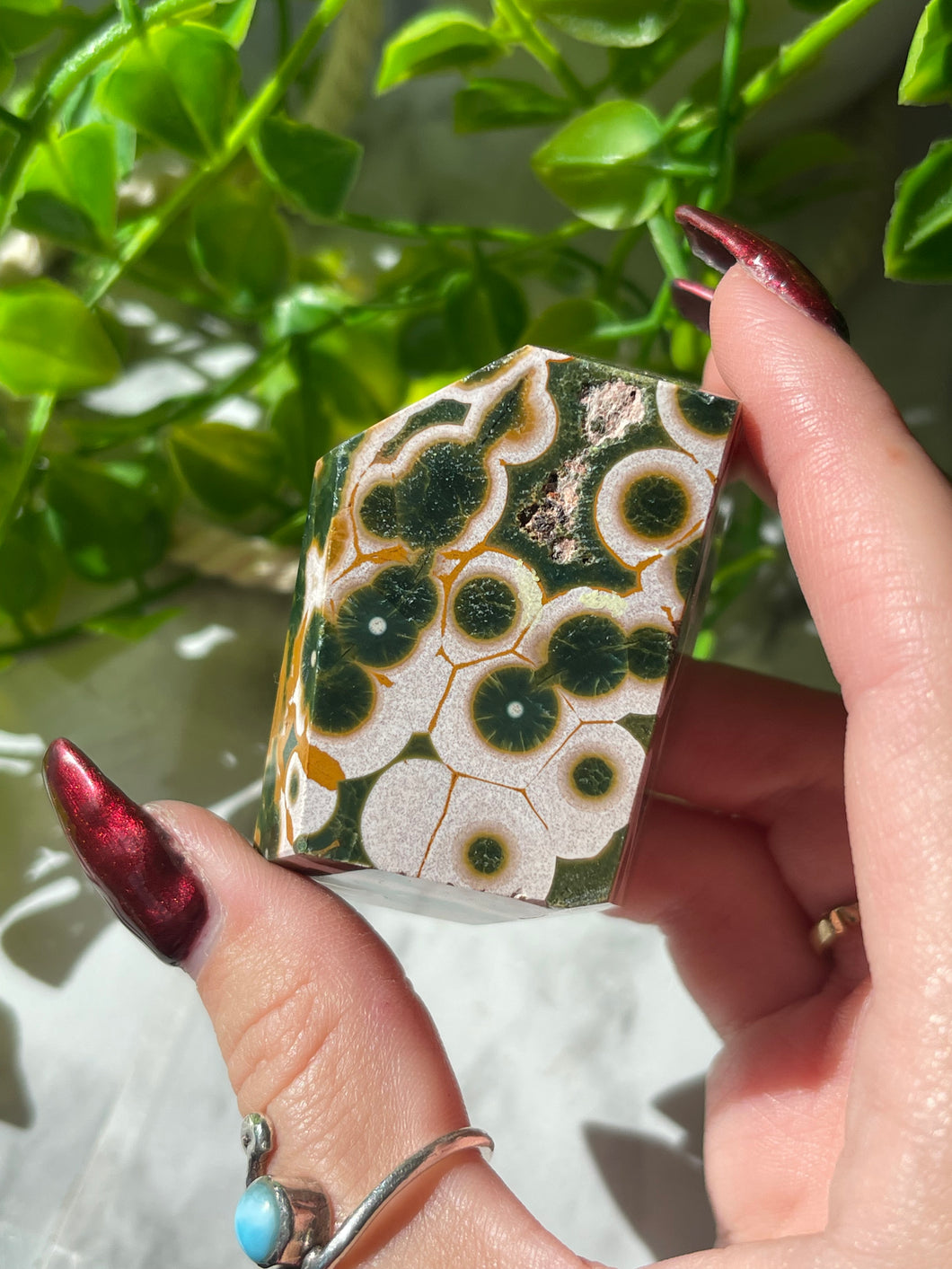 Ocean Jasper freeform D