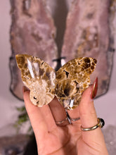 Load image into Gallery viewer, Chocolate calcite butterfly B
