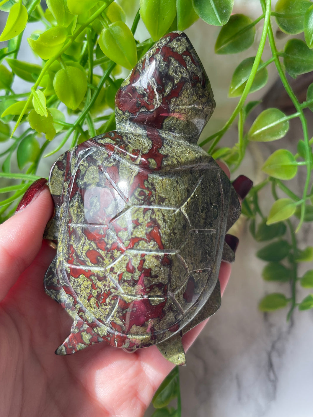 Dragon blood Jasper sea turtle A