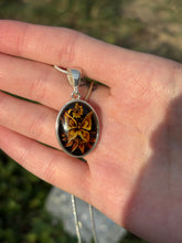 Load image into Gallery viewer, Amber butterfly
