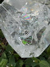 Load image into Gallery viewer, Urania Ripheus butterfly (real)
