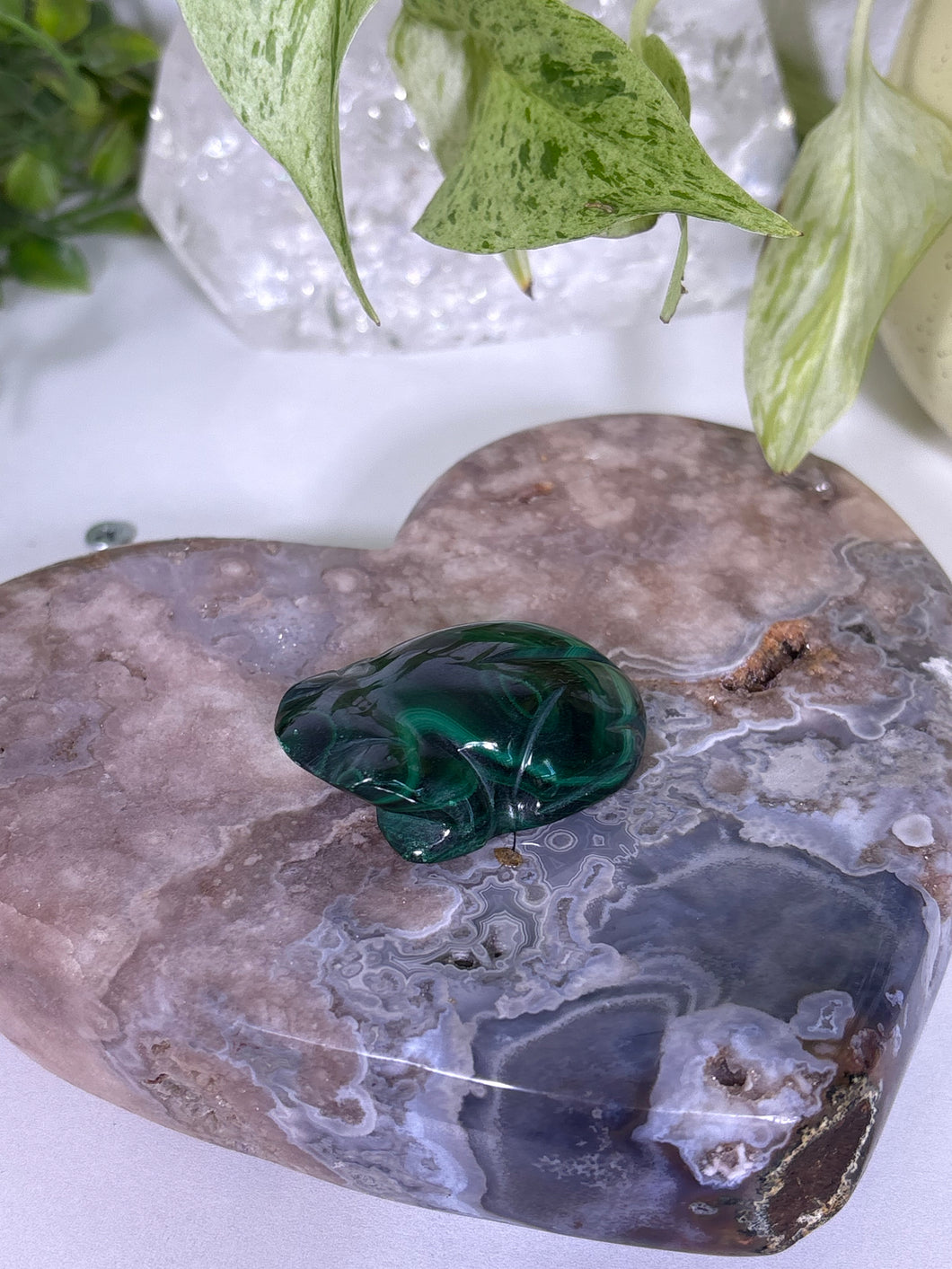 Malachite froggy