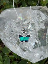 Load image into Gallery viewer, Prepona butterfly (real)
