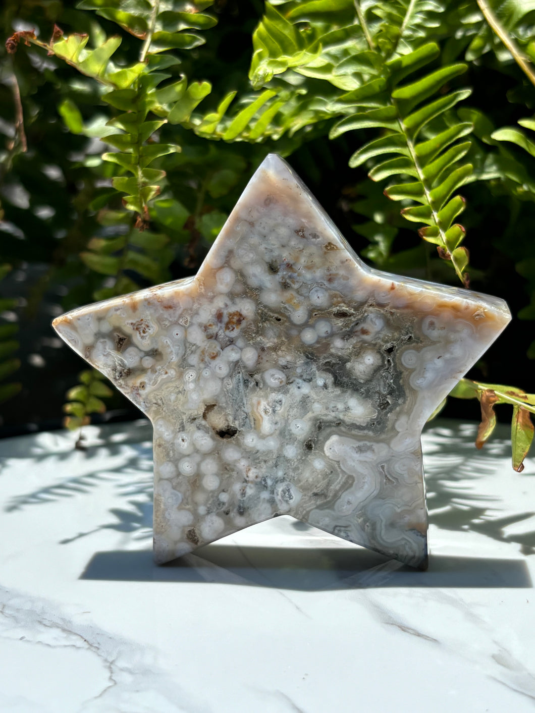 Sea Jasper star A