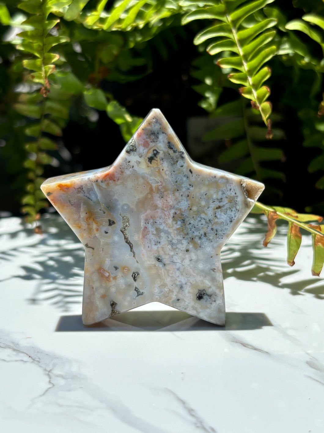 Sea Jasper star C