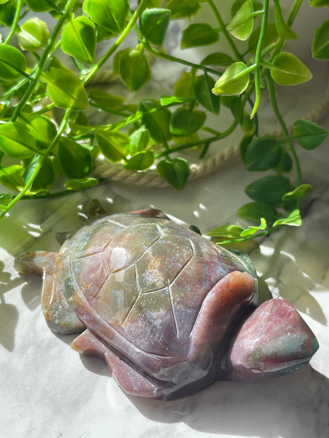 Ocean Jasper sea turtle