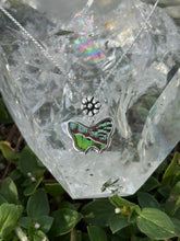 Load image into Gallery viewer, Urania Ripheus butterfly (real)
