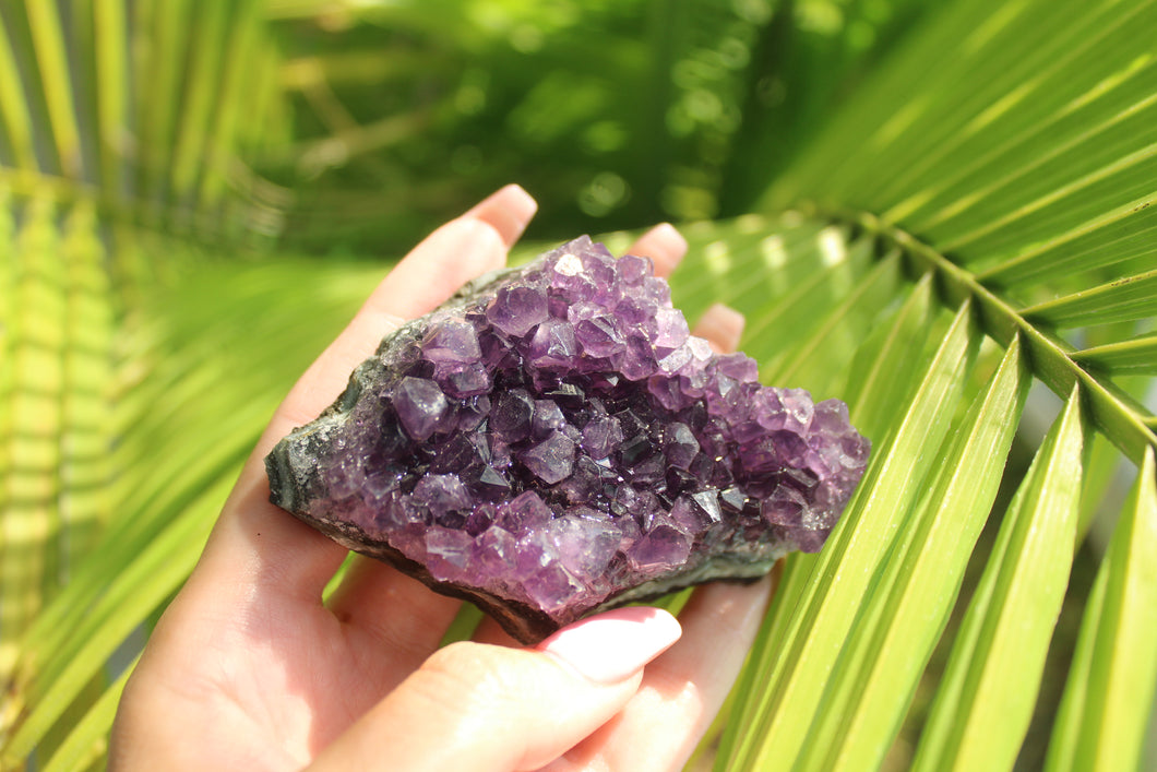 Amethyst clusters